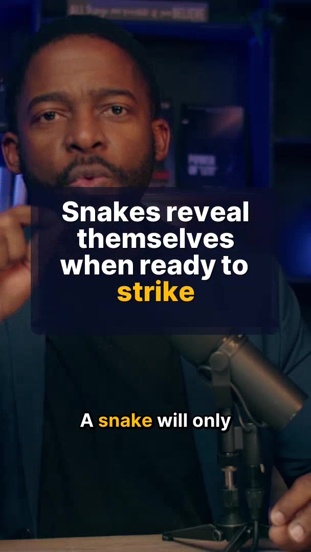 When snakes keep showing up