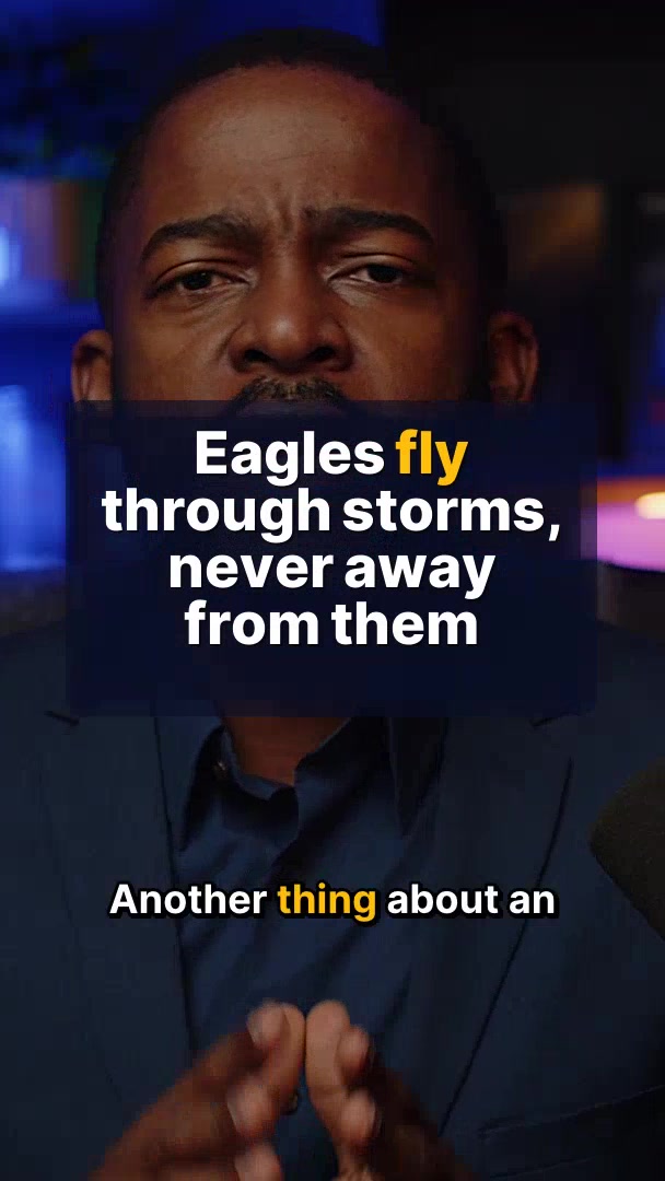 Eagles Fly Through Storms